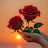 @عبوسي_12
