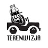 What could TERENWIZJA buy with $317.78 thousand?