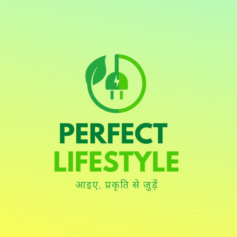 Perfect Lifestyle