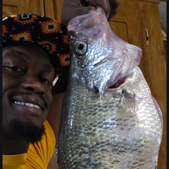 The Fish Tracker
