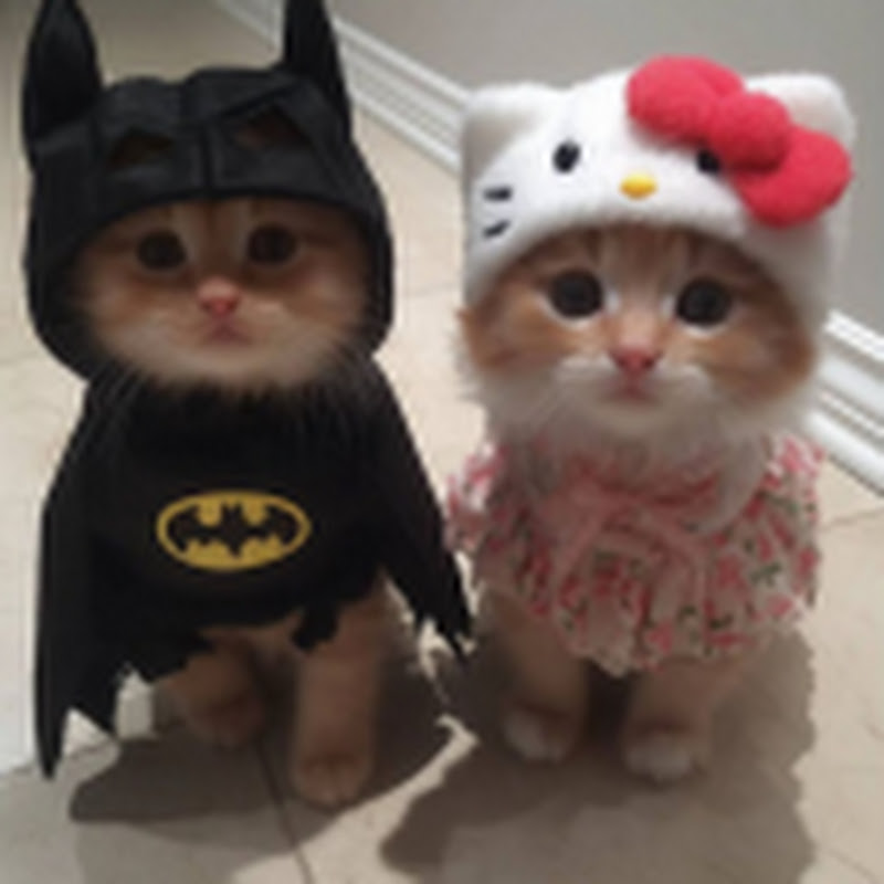 Hire Athex — Tech & Science YouTube creator for sponsorships