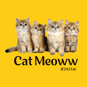 cat meoww 