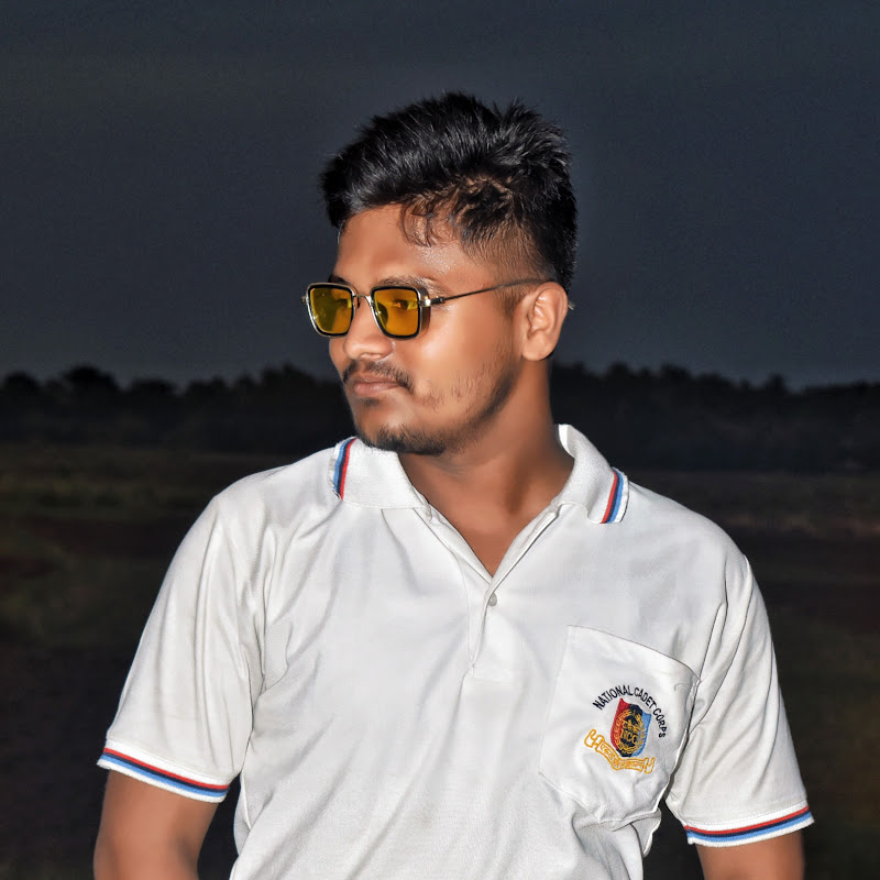 ALOK THE WRITER
