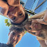 1Do12TkTsa4-channel-avatar-Navarro siblings 