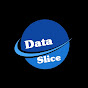 Data Slice logo