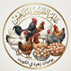 #عالم الطيور المدهش