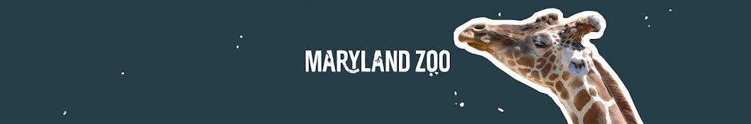 The Maryland Zoo in Baltimore YouTube channel avatar