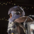 SZG4X6NtsHU-channel-avatar-Arbazzine