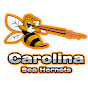 Carolina Sea Hornets logo
