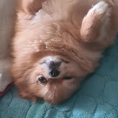 Maraa