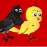 5kfao0RWwuU-channel-avatar-Rano Kauwa Story-TV