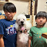 650lPCXJ-bk-channel-avatar-BenPanda能勢YGオオクワガタブリード