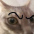 _3eIRit8Jsc-channel-avatar-Scrungle Cat