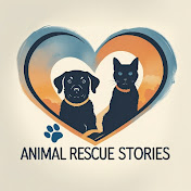 Animal Rescue Stories