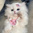 @FadelFadel-hu9ck