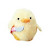 @ducksinthewild Avatar
