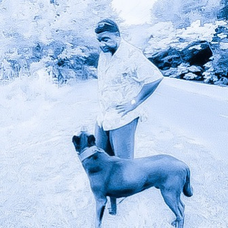 vanguard k9 dog trainings icon