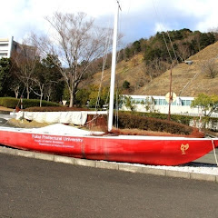 海洋生物資源学部アイコン画像