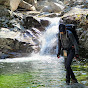 달리마TV