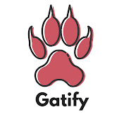 Gatify - Videos para Gatos y Gatas