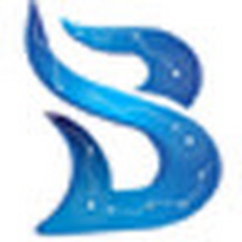 BlueSpace Cybersecurity icon