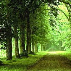 褲子穿在頭上的鳥アイコン画像