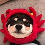 FurryFrame