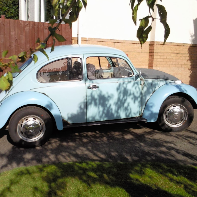 Vw_beetle_dave
