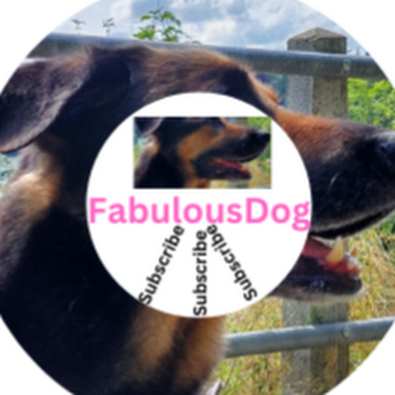FabulousDog