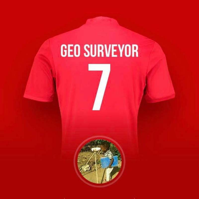 Geo Surveyor 