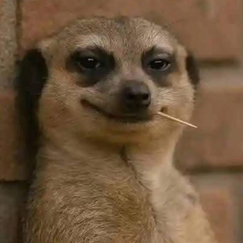 ජිරිබිරිස්