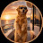 @neuraldog8
