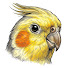 lvDprXb3W6o-channel-avatar-Featherly Cockatiel