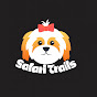 Safari Trails logo