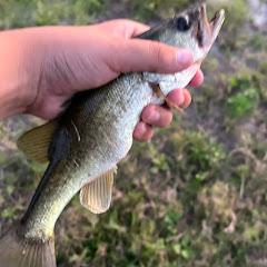Z’s fishing adventures