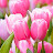 @PeacefulLife347