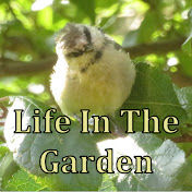 Life In The Garden