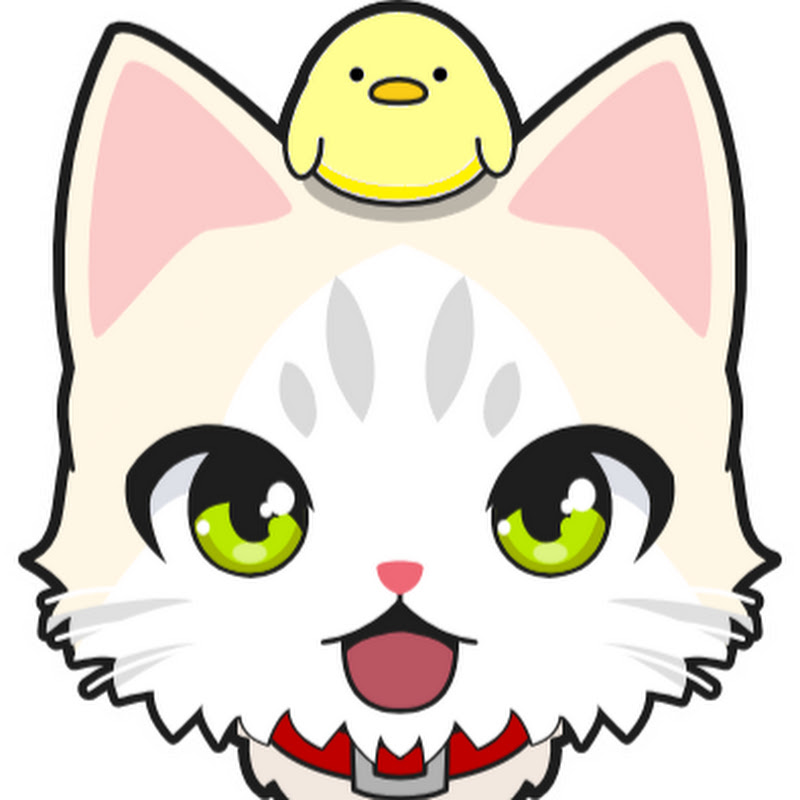 ねこぴーのIT活用