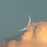 imx4JZxhdQs-channel-avatar-mechBirdinClouds_云中机械鸟