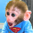 piWe-h0LWUs-channel-avatar-BonBon Arabic