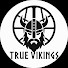 n69dz9zyy78-channel-avatar-True Vikings