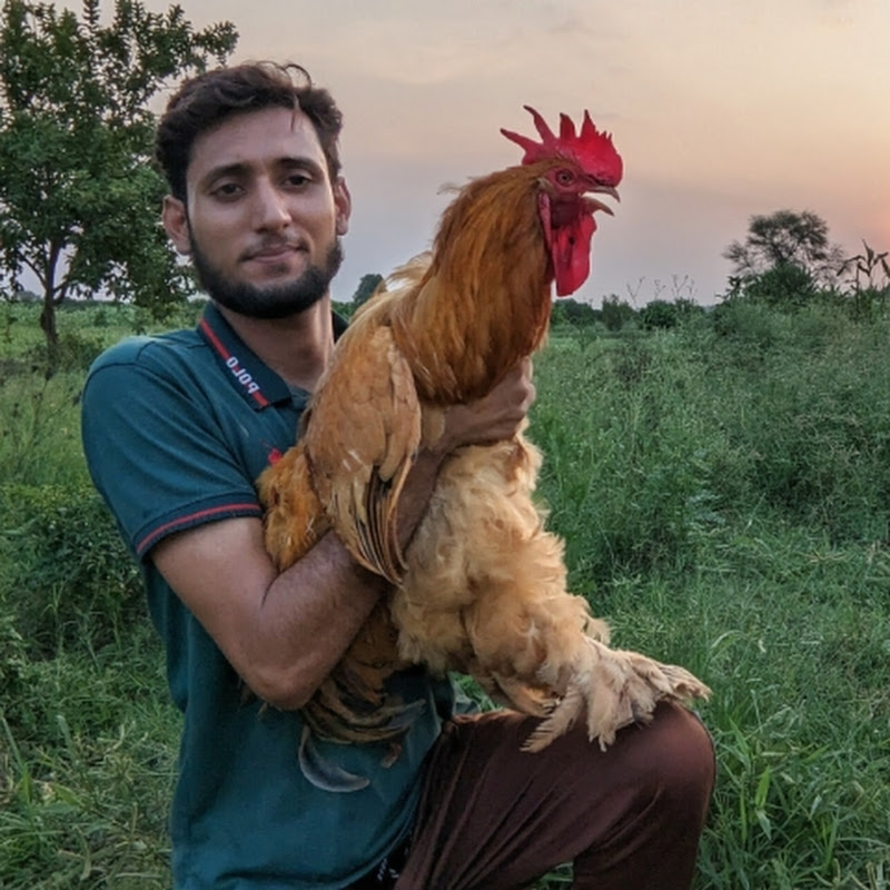 Kitchen Gardening and pets