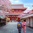 w71maOrBKTY-channel-avatar-japansportsnews