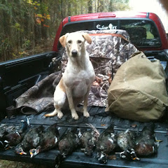 Carolina Sons Outdoors
