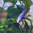 IsaHomtydBw-channel-avatar-FriendLeeFishkeeping