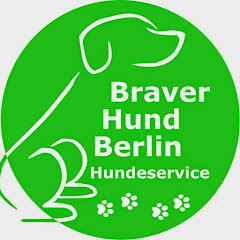 Braver Hund Berlin