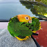 z7EvlQoP5Z8-channel-avatar-CaiqueTube