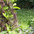 @careofnaturetravelatbangla4336
