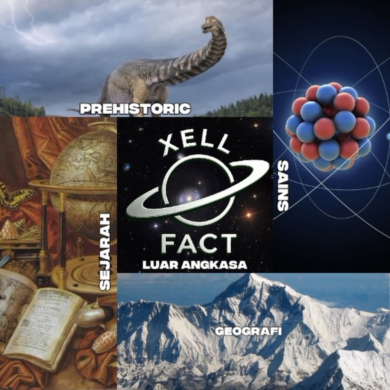 Xell Fact