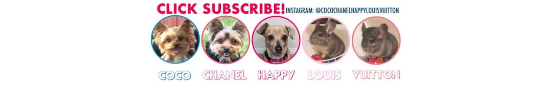 COCOCHANEL & HAPPY & LOUISVUITTON YouTube kanalı avatarı